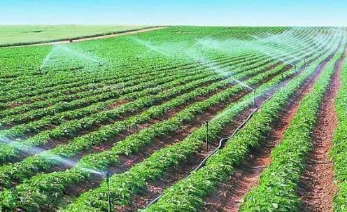 想看男人日女人的批视频农田高 效节水灌溉